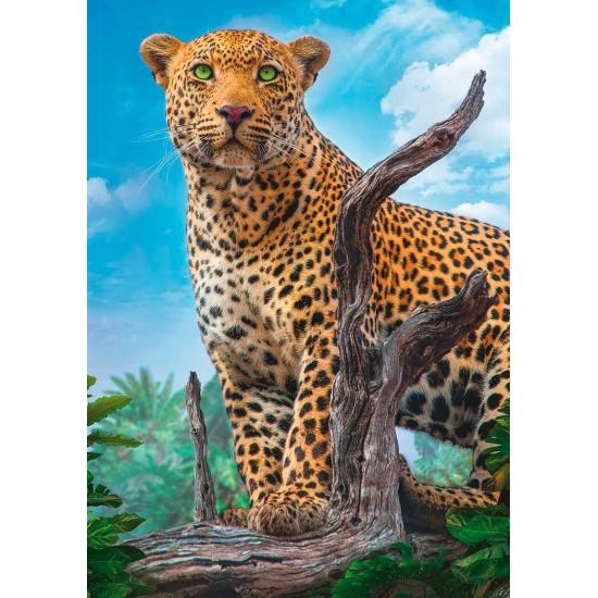 Puzzle Trefl Ameaçador Leopardo Selvagem 500 Peças