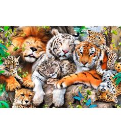 Puzzle Trefl Madeira Gatos Selvagens na Selva de 500 p