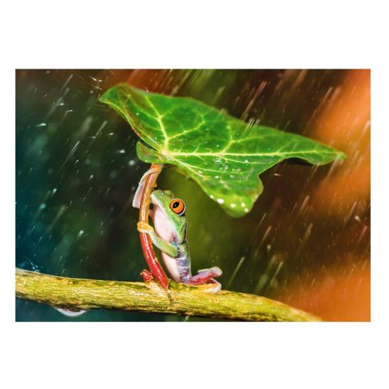 Puzzle Trefl Guarda-chuva Verde 500 Peças Puzzle Trefl Guarda-chuva Verde 500 Peças