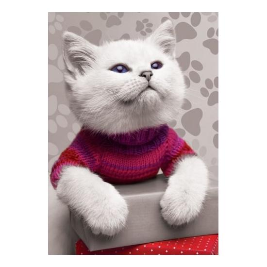 Puzzle Trefl Pelusin, o gatinho 500 peças