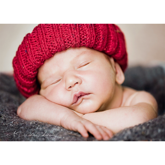 Puzzle Trefl Sesta de 500 Peças