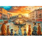 Puzzle Trefl Cães Em Veneza 1000 Peças