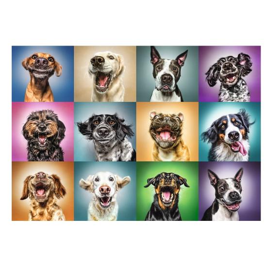 Comprar Puzzle Art Puzzle Cartas de Jogar Cães de 500 peças - Art-Puzzle -5094